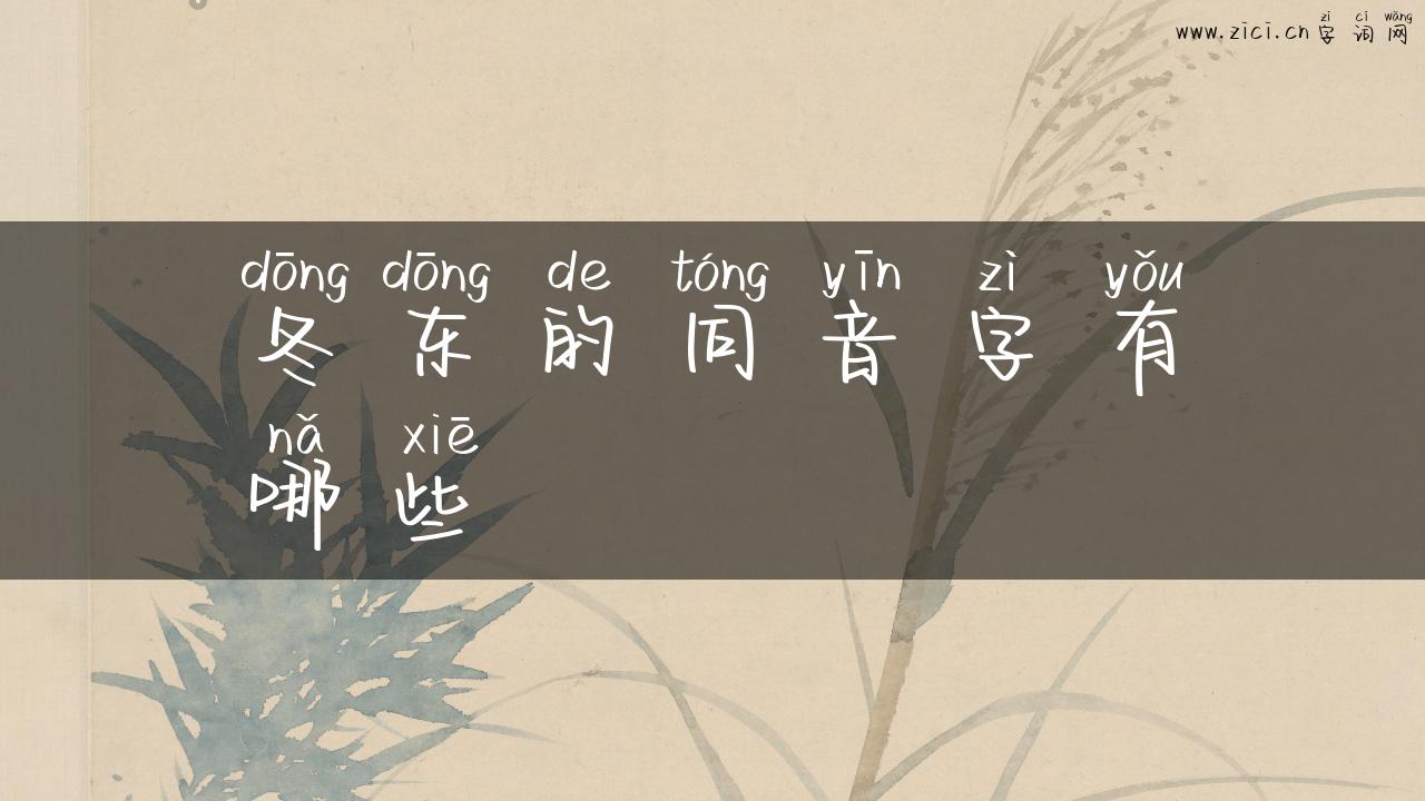 冬东的同音字有哪些