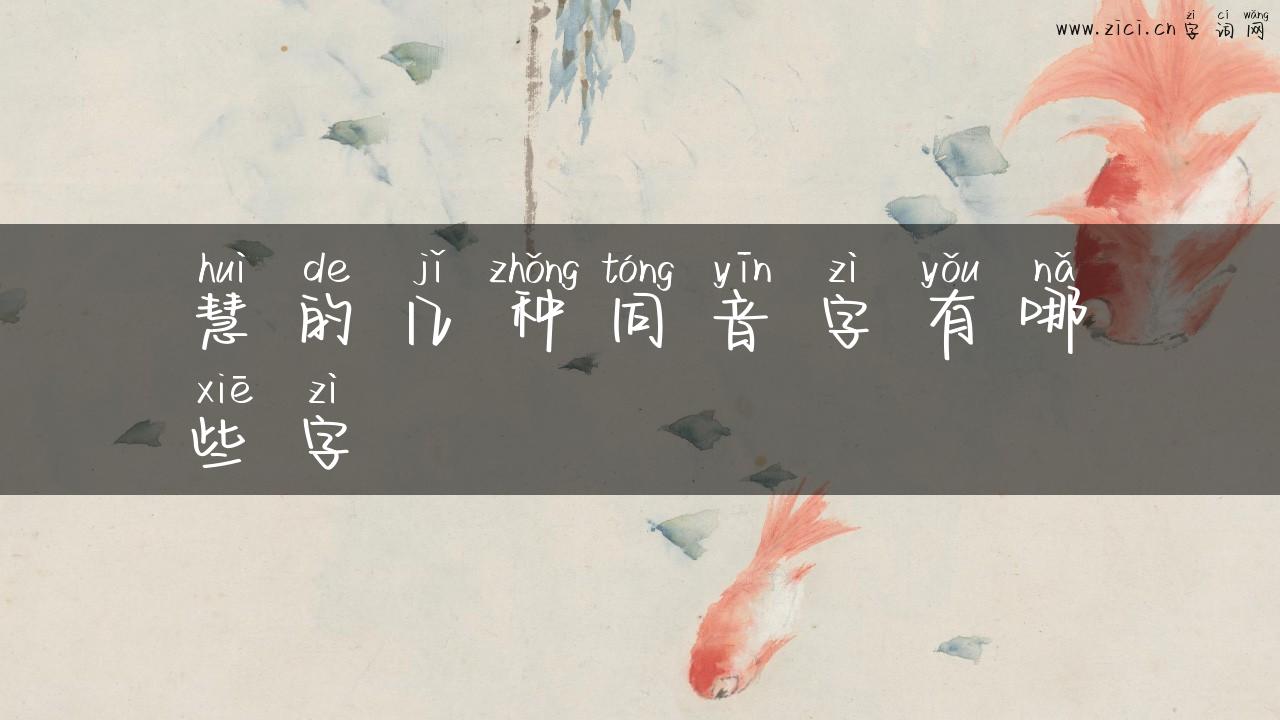 慧的几种同音字有哪些字
