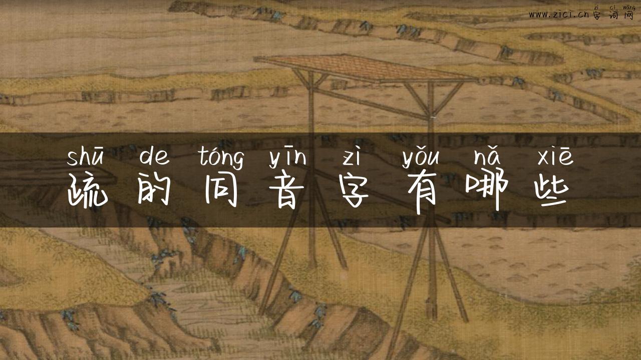 疏的同音字有哪些
