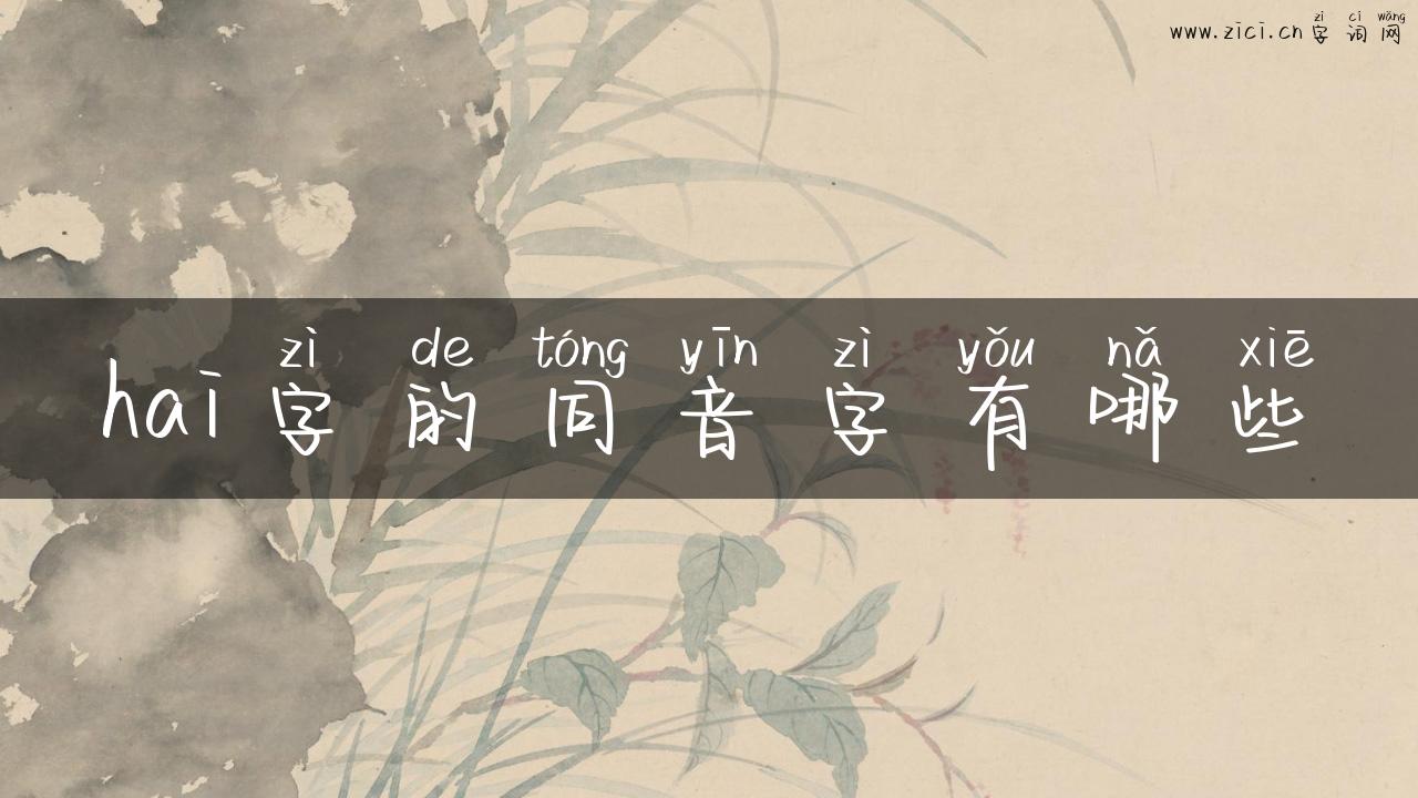 hai字的同音字有哪些