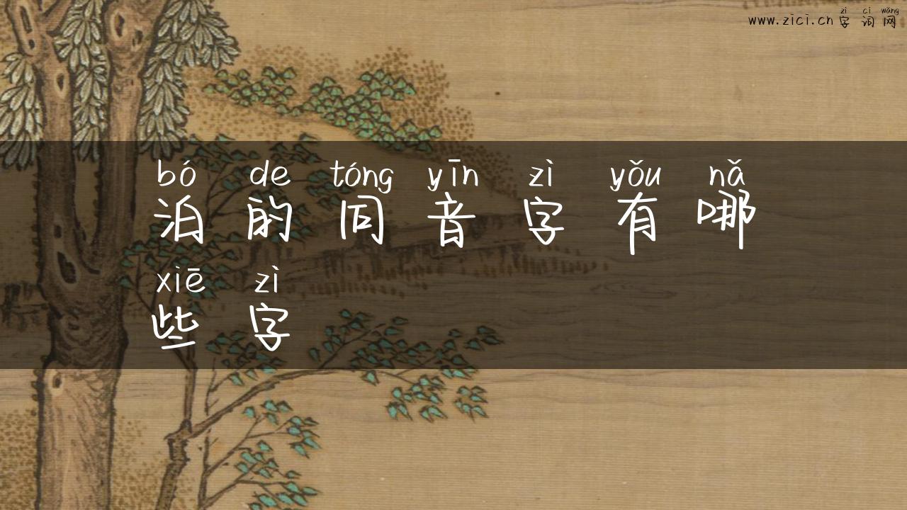 泊的同音字有哪些字