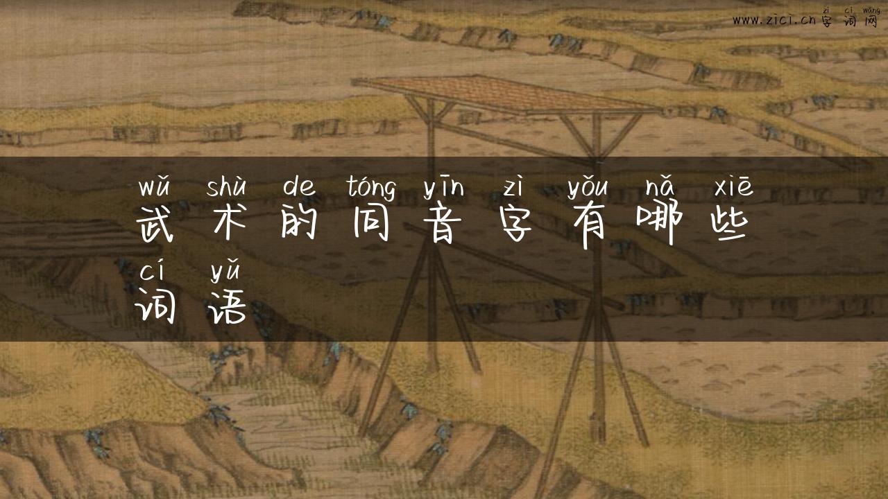武术的同音字有哪些词语