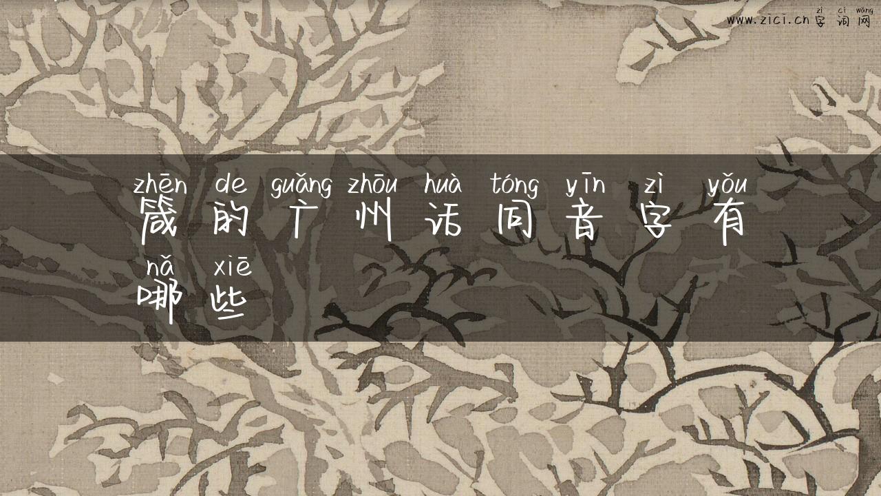 箴的广州话同音字有哪些