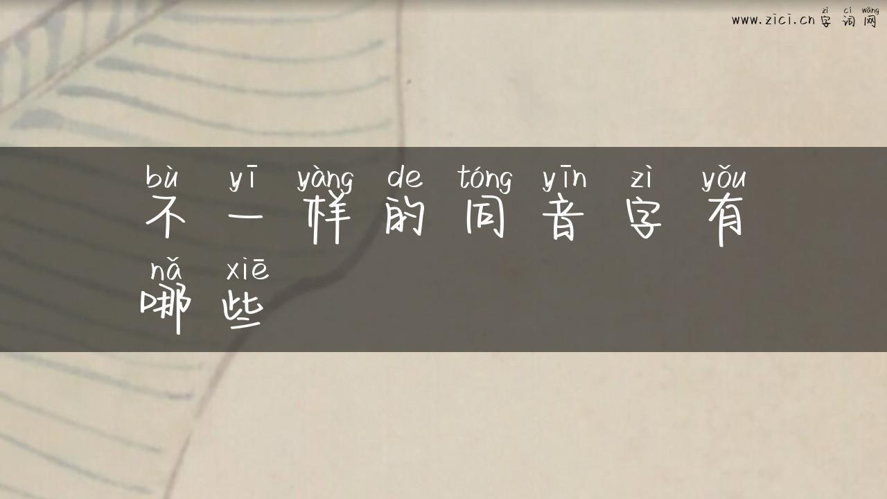 不一样的同音字有哪些