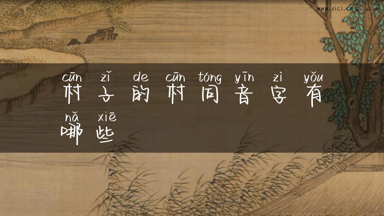 村子的村同音字有哪些