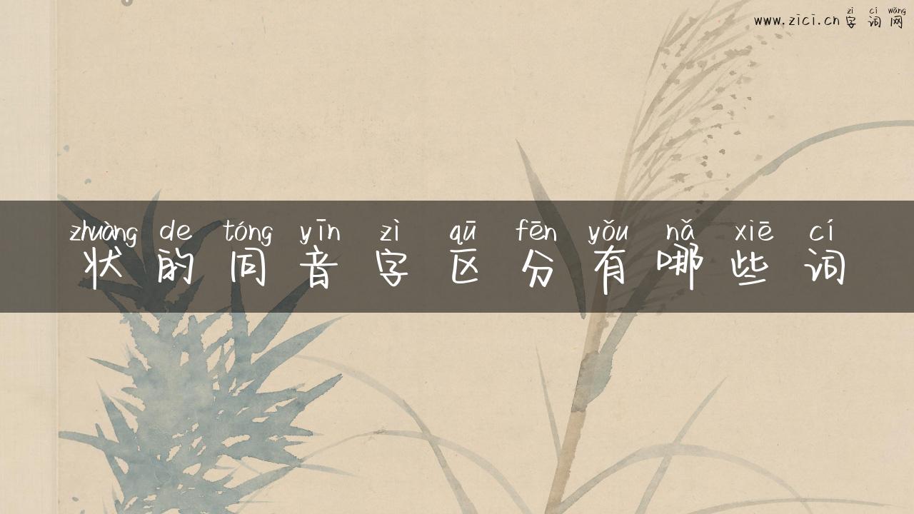 状的同音字区分有哪些词