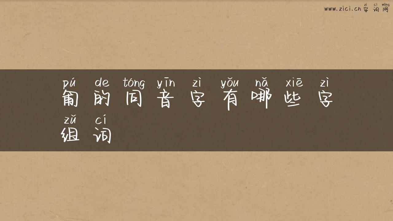匍的同音字有哪些字组词