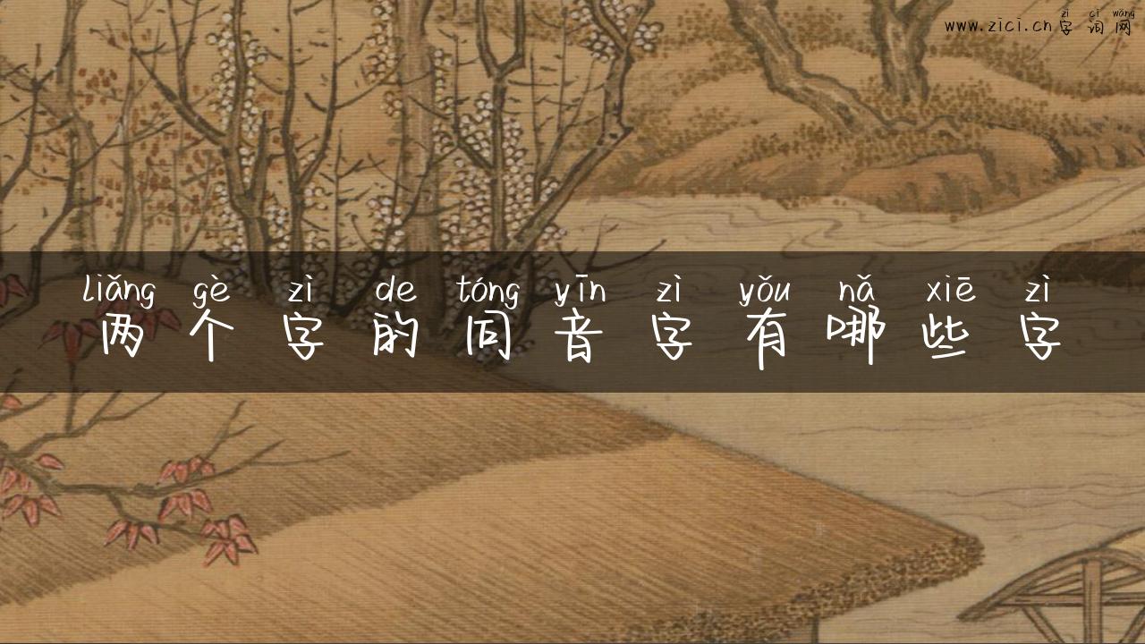 两个字的同音字有哪些字