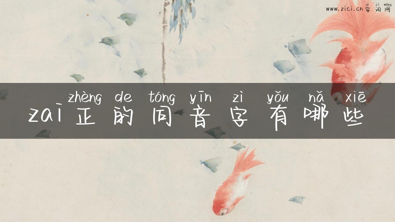 zai正的同音字有哪些