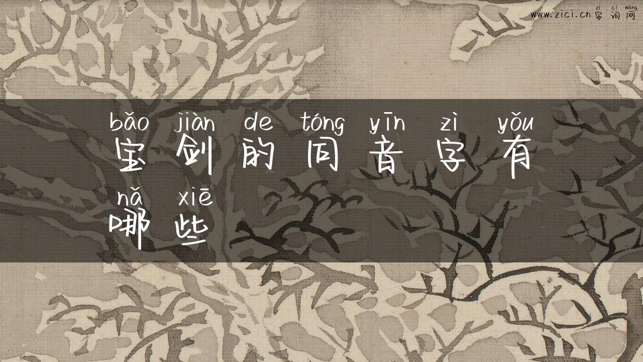 宝剑的同音字有哪些
