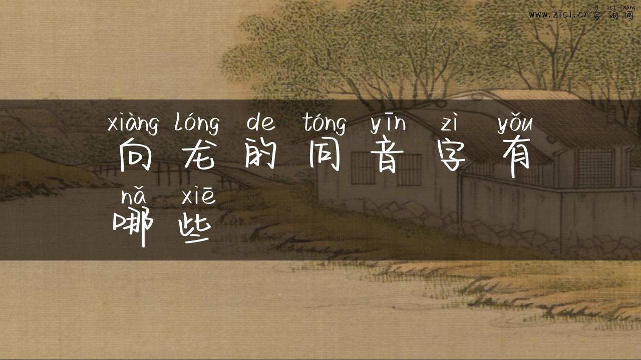 向龙的同音字有哪些