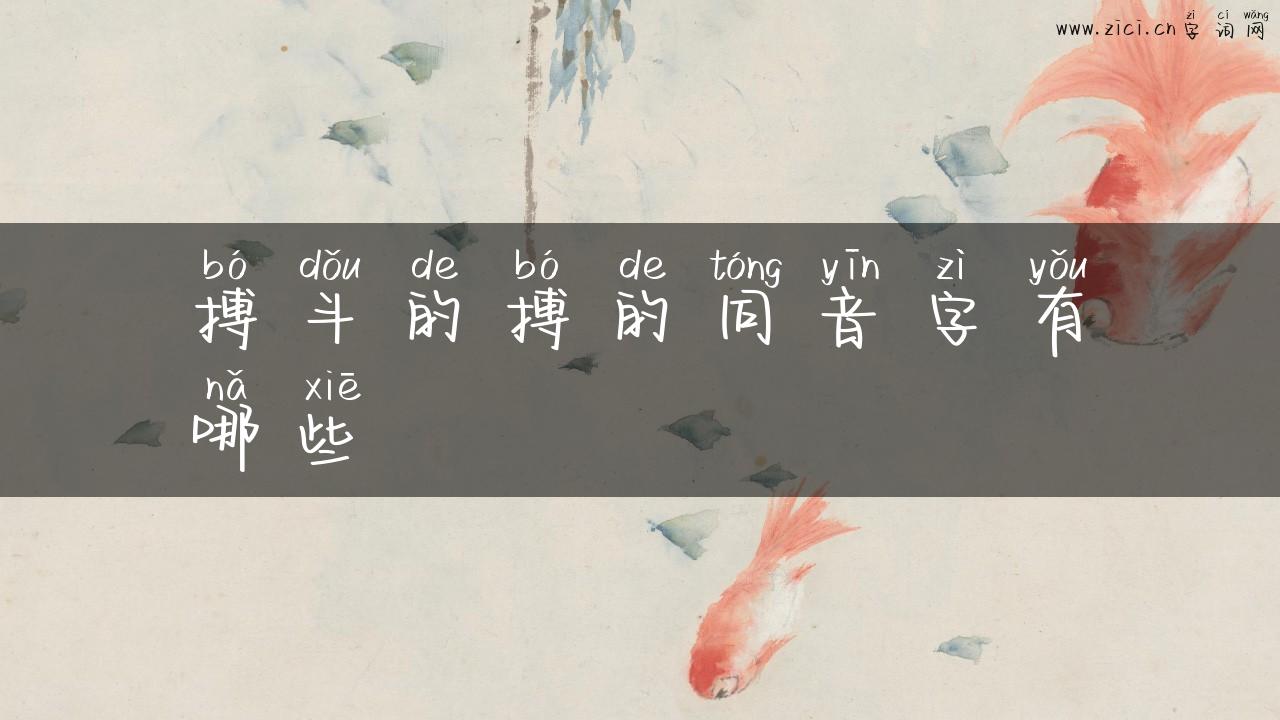 搏斗的搏的同音字有哪些