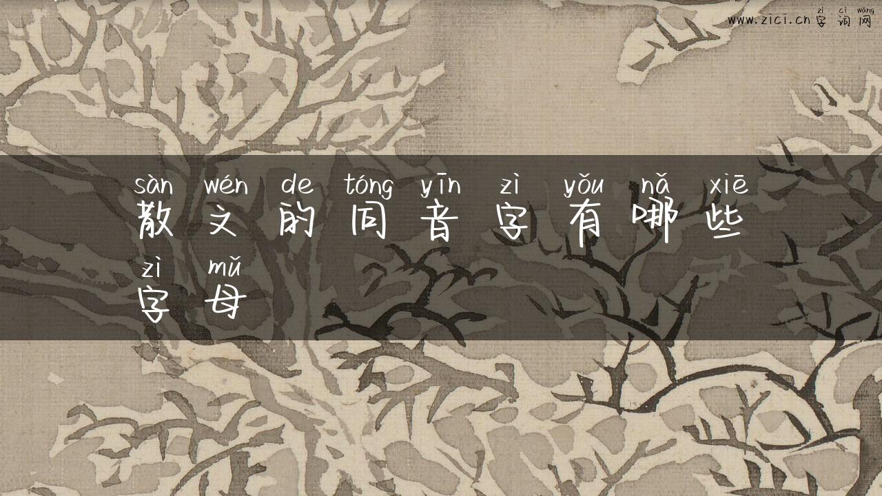 散文的同音字有哪些字母