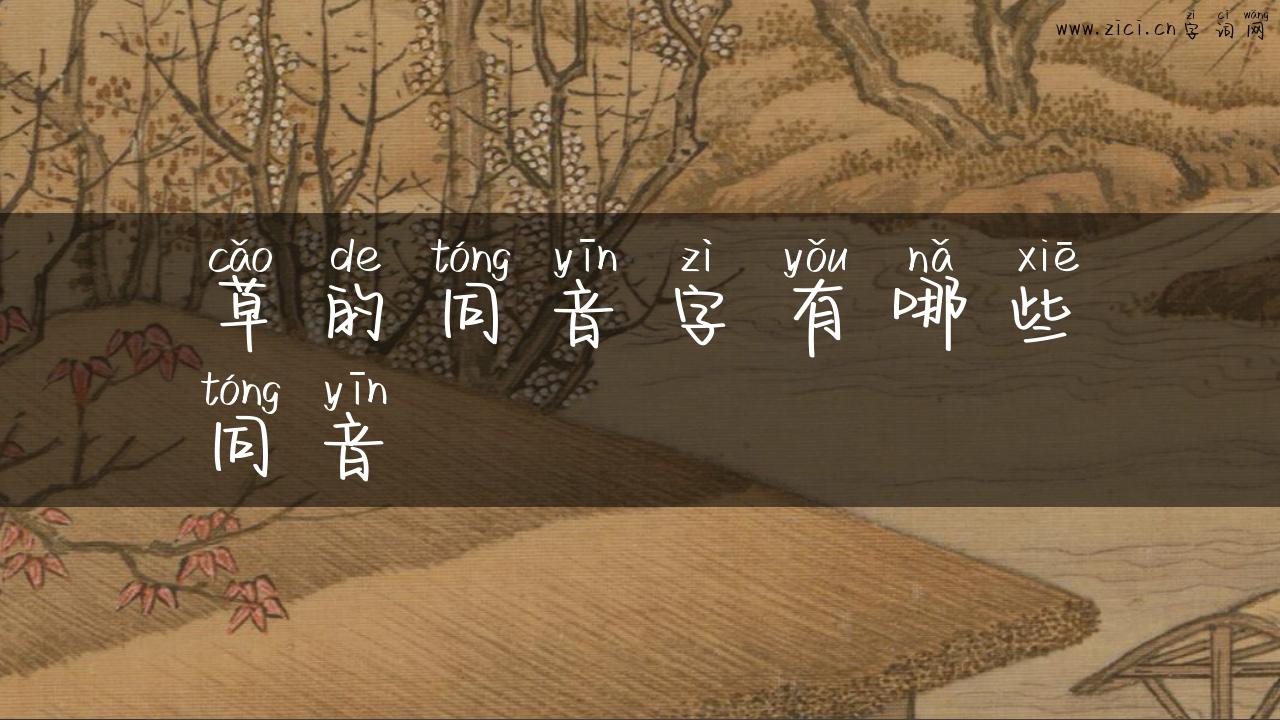 草的同音字有哪些同音