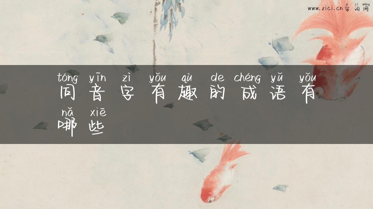 同音字有趣的成语有哪些
