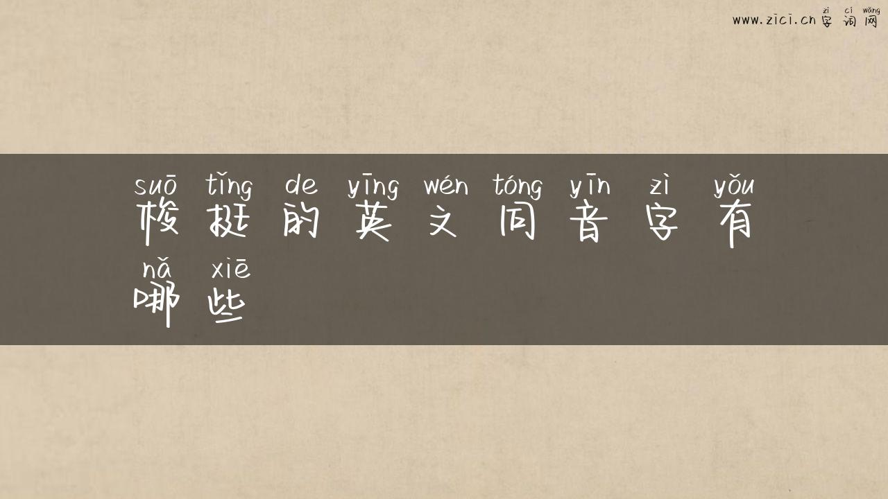 梭挺的英文同音字有哪些