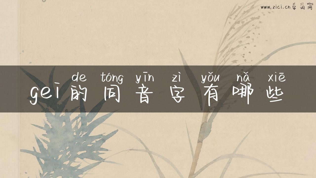 gei的同音字有哪些