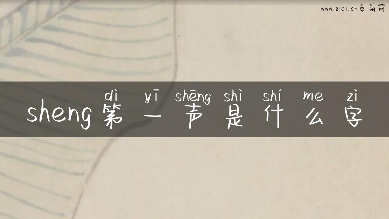 sheng第一声是什么字