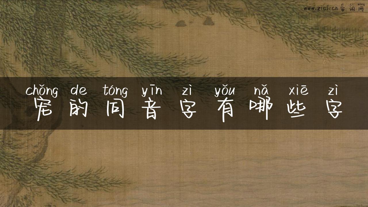 宠的同音字有哪些字