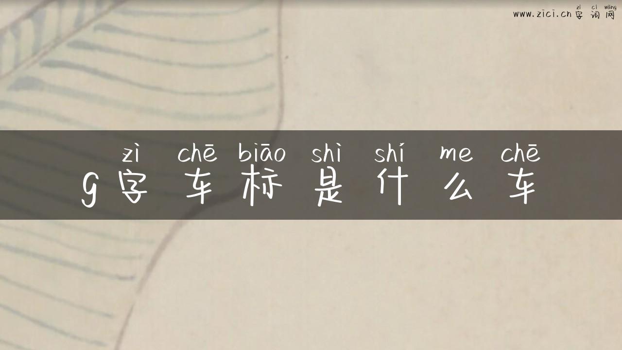 g字车标是什么车