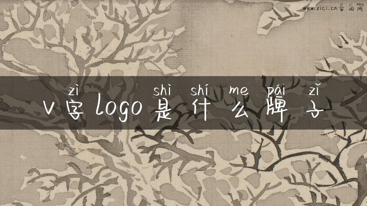 v字logo是什么牌子