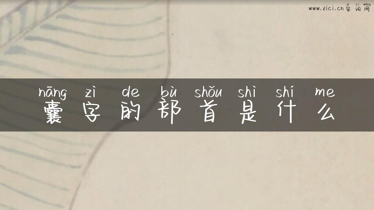 囊字的部首是什么