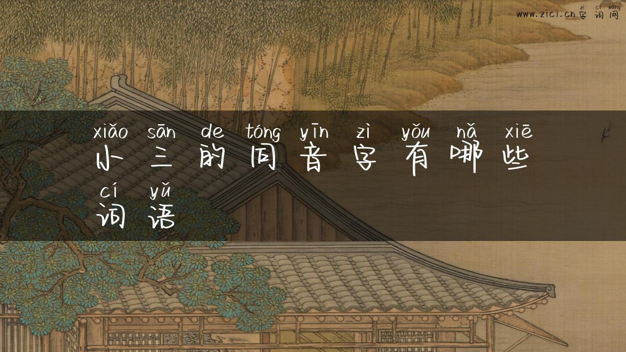 小三的同音字有哪些词语