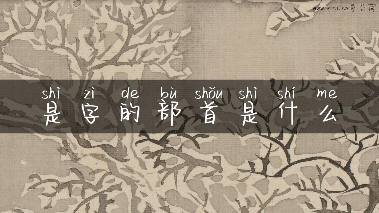 是字的部首是什么