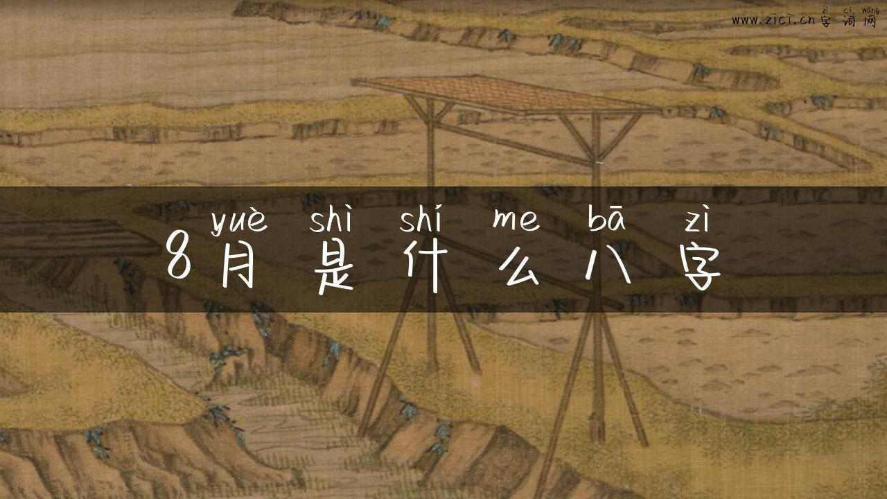 8月是什么八字