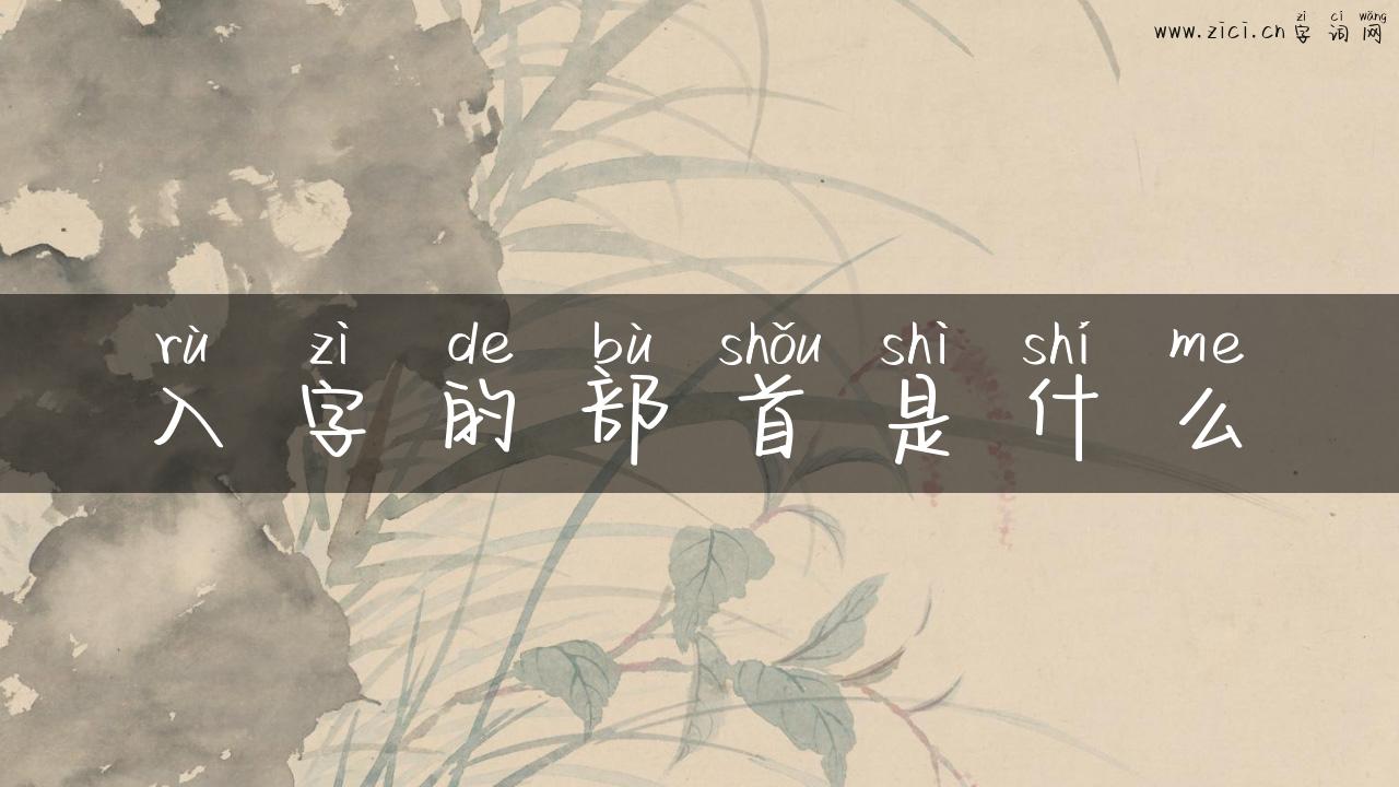 入字的部首是什么