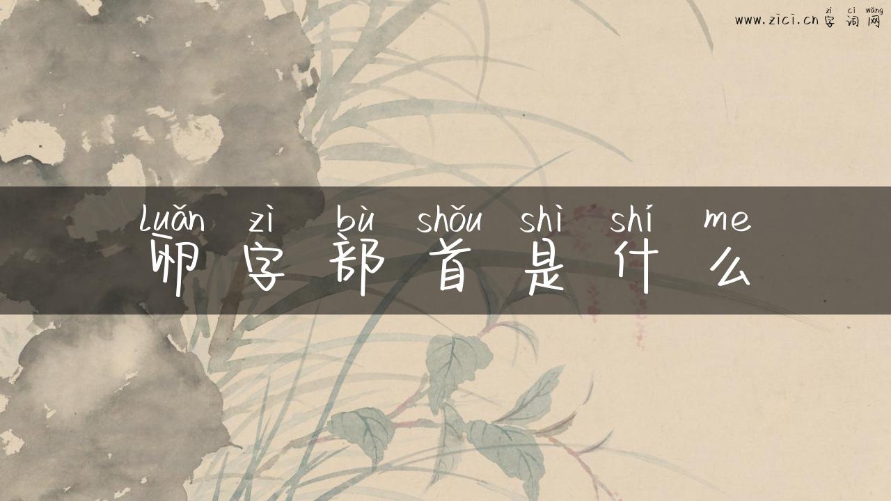 卵字部首是什么