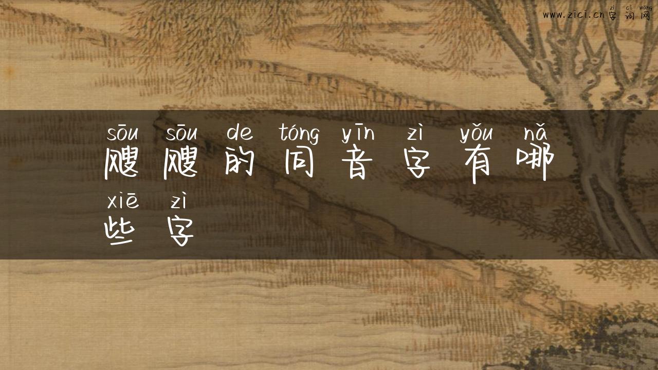 飕飕的同音字有哪些字