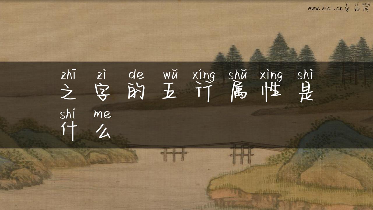 之字的五行属性是什么