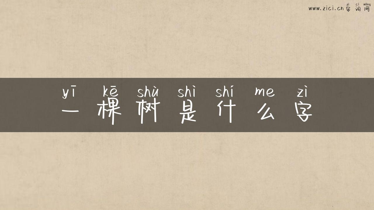 一棵树是什么字