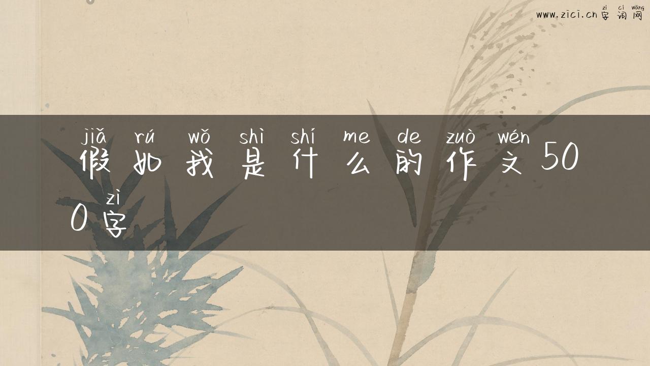 假如我是什么的作文500字