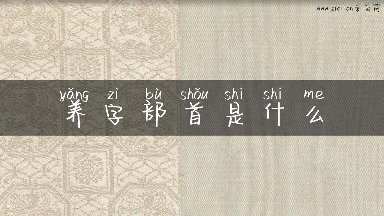 养字部首是什么