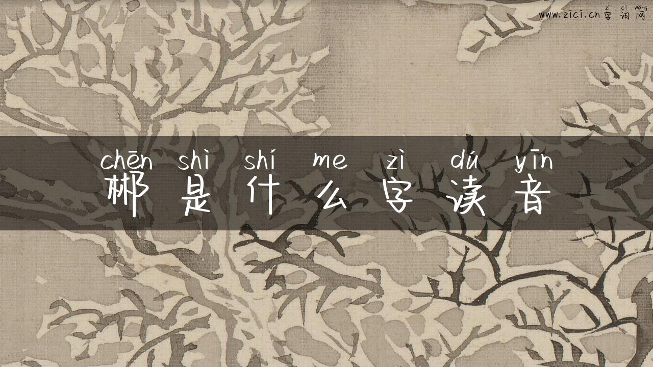 郴是什么字读音