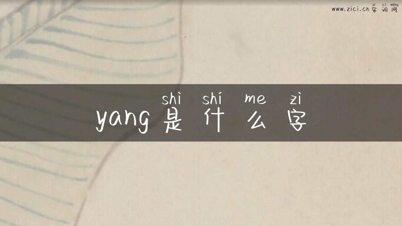 yang是什么字