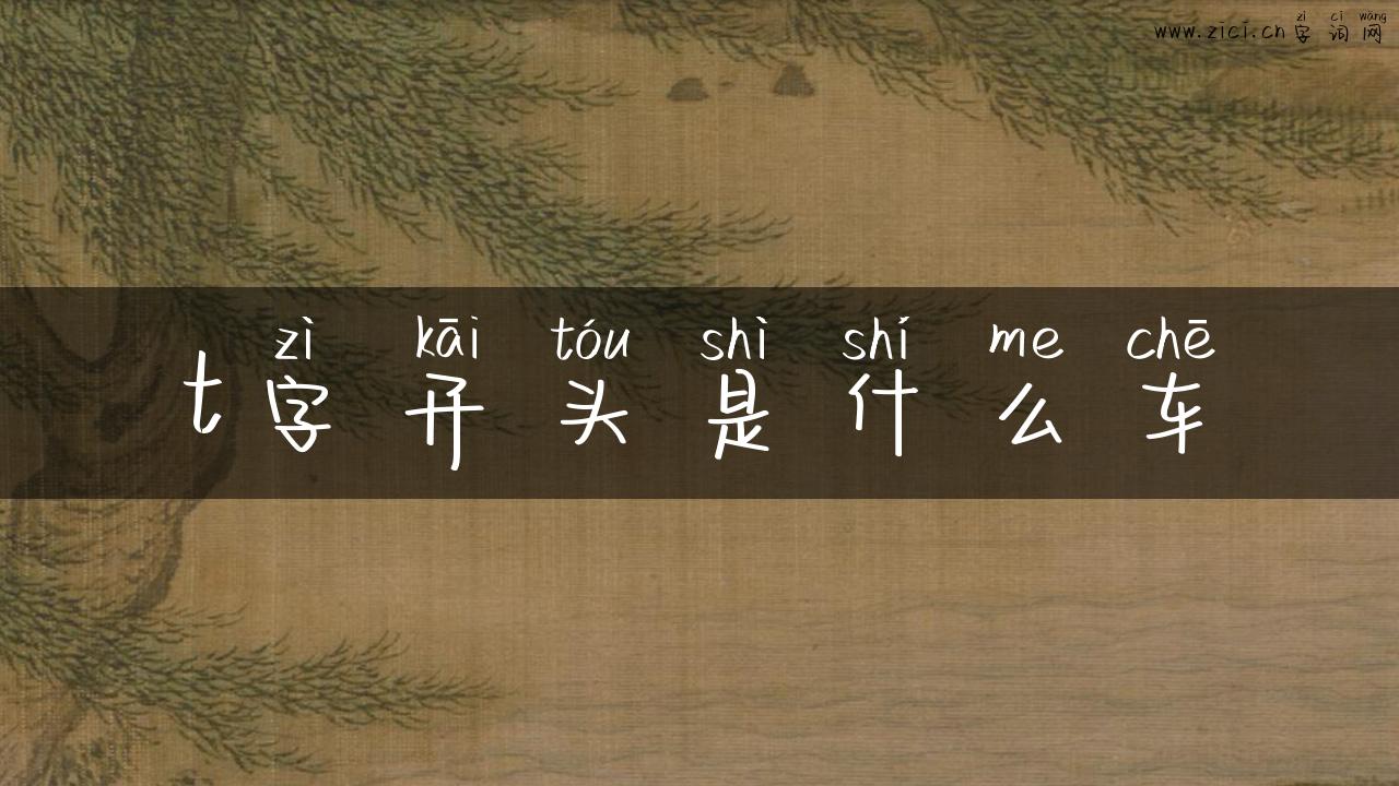 t字开头是什么车