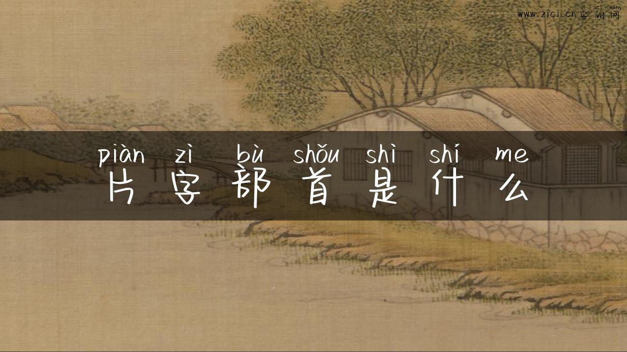 片字部首是什么
