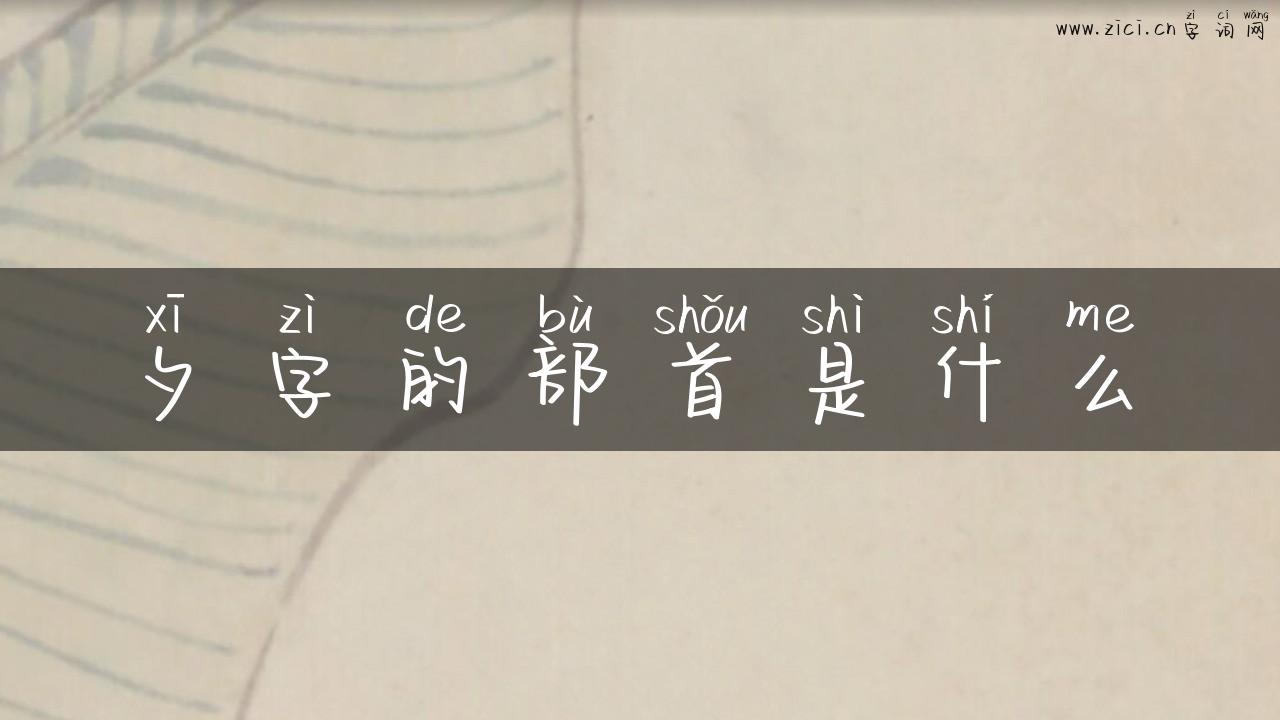 夕字的部首是什么