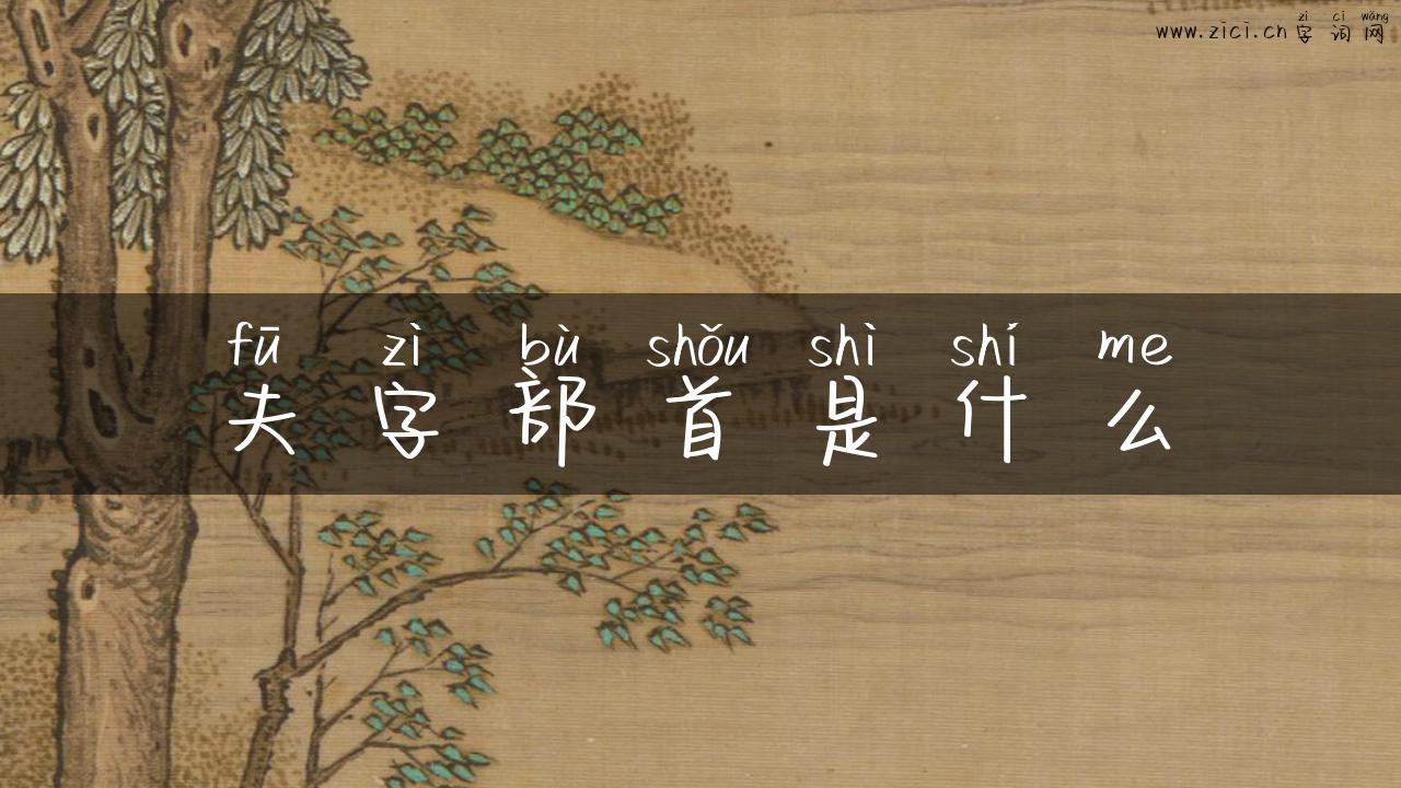 夫字部首是什么