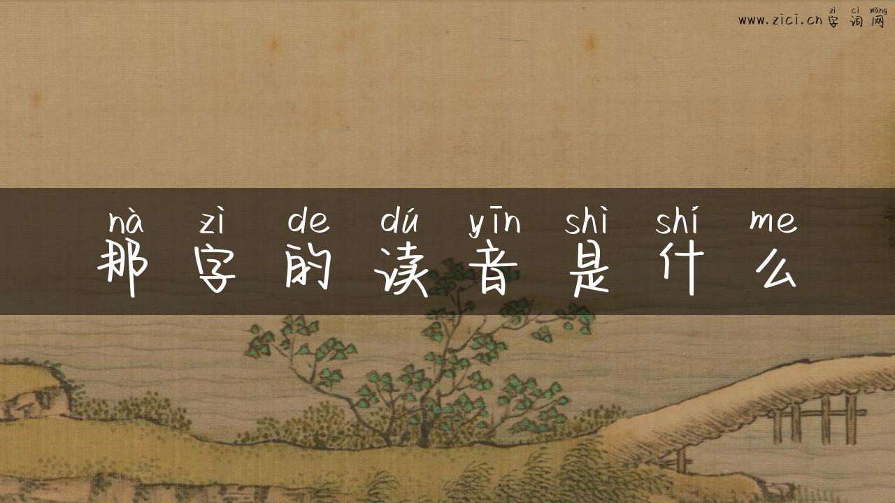 那字的读音是什么
