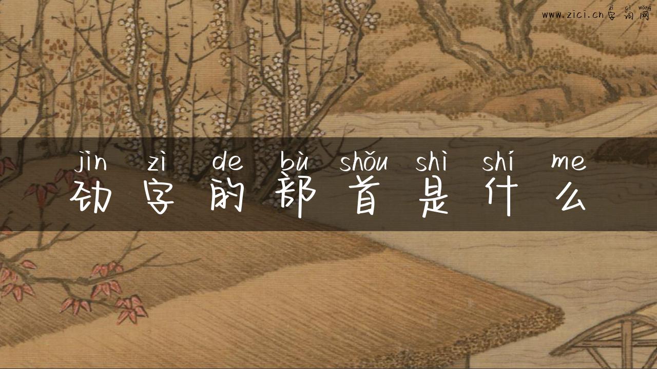 劲字的部首是什么