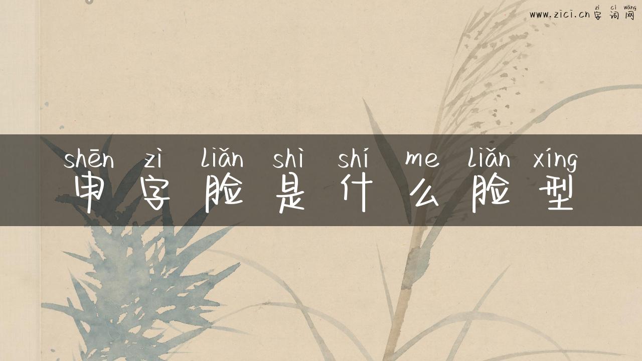 申字脸是什么脸型