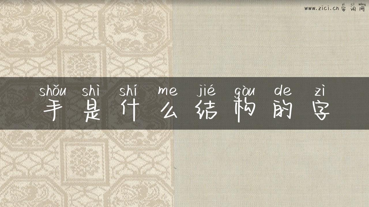 手是什么结构的字