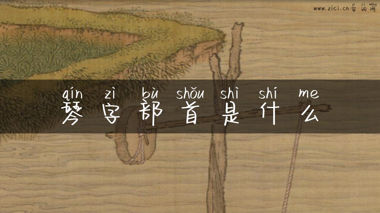 琴字部首是什么