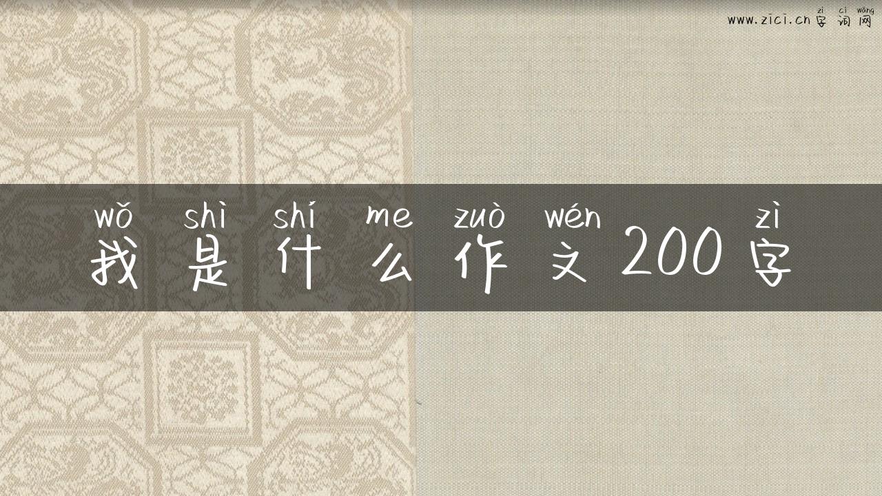 我是什么作文200字
