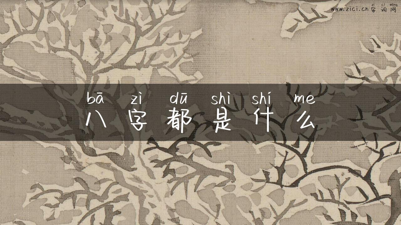 八字都是什么