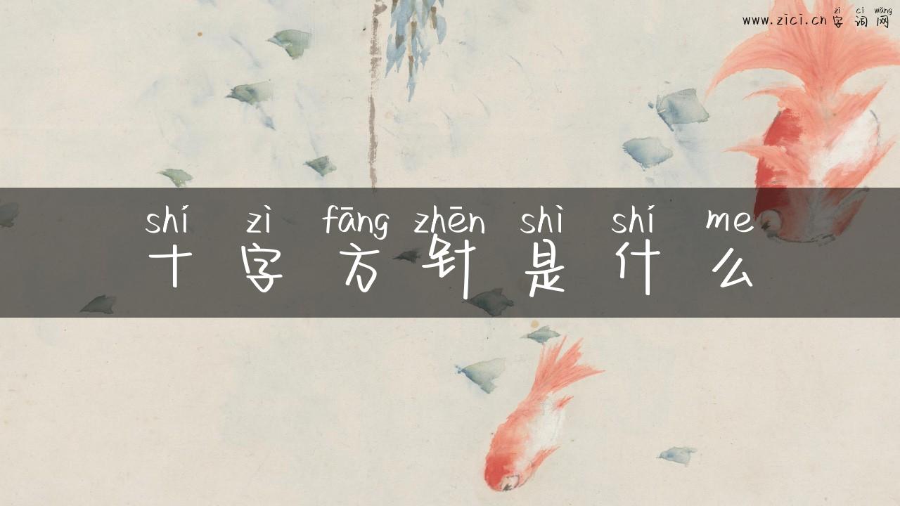 十字方针是什么